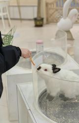 -Moni星球萌宠·小马宝莉·灵蛇·高端高阶全萌宠互动体验俱乐部(红豆国际广场店)