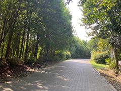 -上海海湾国家森林公园