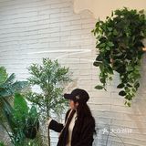 遵义探店|宝藏☕️咖啡店