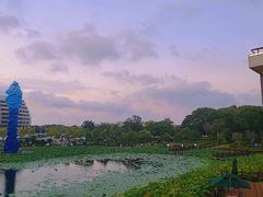 -海天湖公园