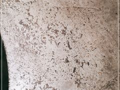 -玉善烧烤串城(长春总店)