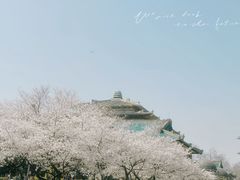 -武汉大学-樱园