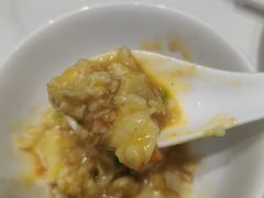 -丁老爷子苏香圆