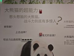 -秦皇岛野生动物园