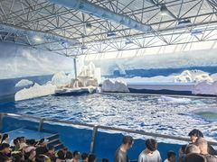 -秦皇岛乐岛海洋王国