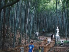 -敬亭山风景名胜区