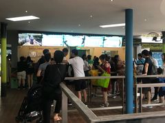 -圣淘沙天际线斜坡滑车