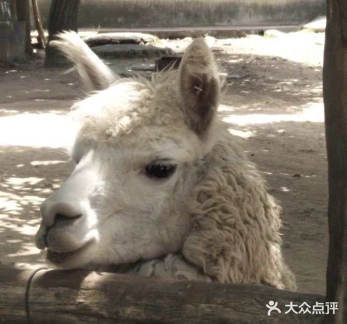 西安秦岭野生动物园图片