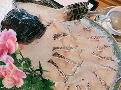 -禄婶鸡煲·打边炉
