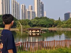 -顺峰山公园