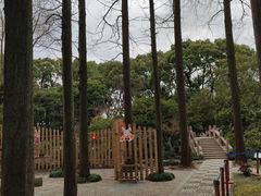 -上海醉白池公园