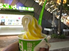 -Salud撒露欧洲冻酸奶(蓝色港湾店)