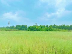 -光明小镇欢乐田园
