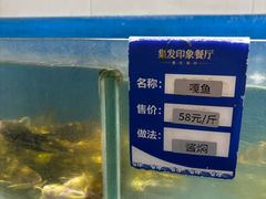 -北戴河集发农业梦想王国