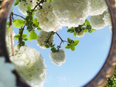 -大龙山(地铁站)