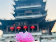 -济南大明湖景区