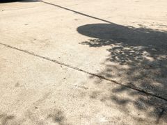 -小仙居·农家宴烤羊· 农庄