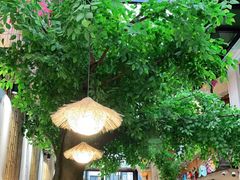 -大理董·董家小厨野生菌火锅(古城旗舰店)