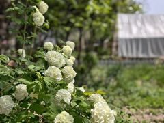 -小仙居·农家宴烤羊· 农庄