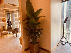 -3AM·S HAIR SALON烫发染发接发