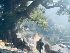 -杨家堂村