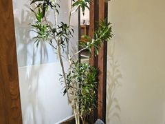 -上座云间·青年赣菜(绿茵店)