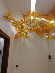 -芳朵美容养生SPA