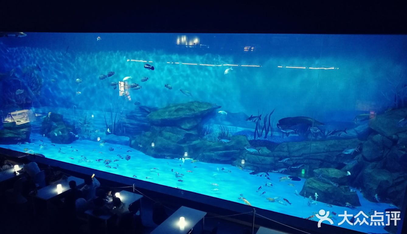 魔都夏日去哪里 | 海昌海洋公园避暑溜娃两不误