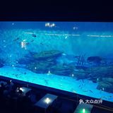 魔都夏日去哪里 | 海昌海洋公园避暑溜娃两不误