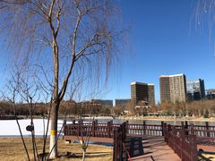 -西海子公园