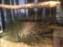 -酷嗒动物文化乐园(cutezoo西溪乐天城店)