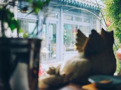 大堂-汤厨(五道营店)