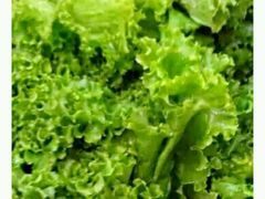 -大胖骨汤火锅(裕华店)