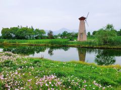-三垟湿地