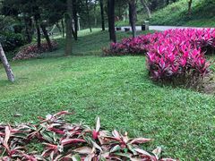 -广州雕塑公园