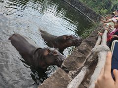 -海南热带野生动植物园