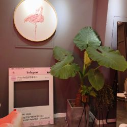 -Priscilla皮肤管理中心