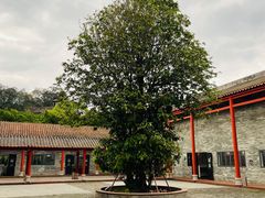 -李小龙乐园(顺德均安店)