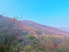 -周口店坡峰岭风景区