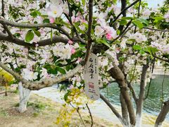 -元大都城垣遗址公园