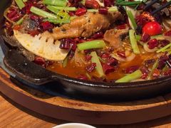 -老板恋上鱼(恒隆广场店)