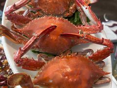 -添福来墨鱼饺子 · 海鲜东北菜(大连星海·黄浦路店)