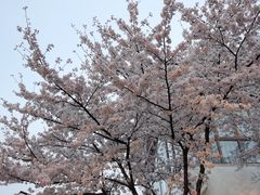 -石湖景区