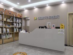 -瑞鹏宠物医院·骨外科·心肾科·肿瘤科(九亭店)