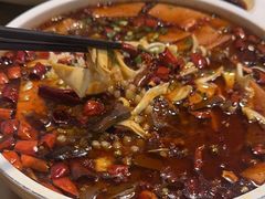 -易老妈蹄花.特色川菜(人民公园总店)