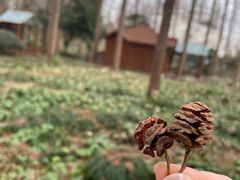 -上海怡沁园度假酒店