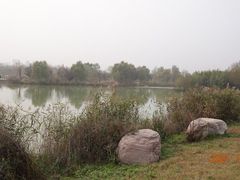 -淇河国家湿地公园