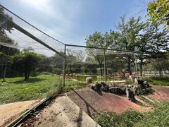 -石家庄市动物园