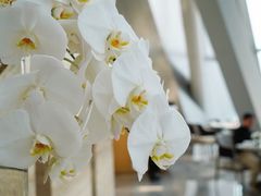 -傲廬·云端餐厅·深圳柏悦酒店