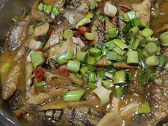 -全乐鱼馆·淳牌有机鱼直营店